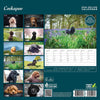 Cavapoo Deluxe Calendar 2026