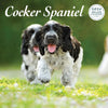 Cocker Spaniel Deluxe Calendar 2026