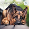 German Shepherd Deluxe Calendar 2026
