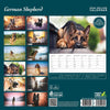 German Shepherd Deluxe Calendar 2026