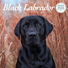 Black Labrador Deluxe Calendar 2026
