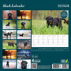 Black Labrador Deluxe Calendar 2026
