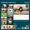 Staffordshire Bull Terrier Deluxe Calendar 2026