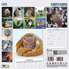 Cat Traditional Calendar 2026