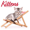 Kittens Modern Calendar 2026