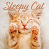 Sleepy Cat Calendar 2026