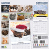Sleepy Cat Calendar 2026