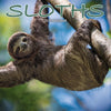 Sloths Wall Calendar 2026