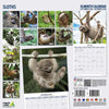 Sloths Wall Calendar 2026