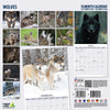 Wolves Calendar 2026