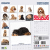 Cockapoo Modern Wall Calendar 2026