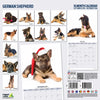 German Shepherd Modern Wall Calendar 2026