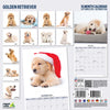 Golden Retriever Modern Wall Calendar 2026