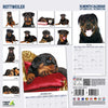 Rottweiler Modern Wall Calendar 2026