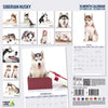 Siberian Husky Modern Wall Calendar 2026
