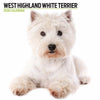 West Highland Modern Wall Calendar 2026
