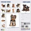 Yorkshire Terrier Modern Wall Calendar 2026