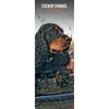 Cocker Spaniel Slim Wall Calendar 2026
