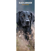 Black Labrador Slim Wall Calendar 2026