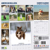Amerian Bulldog Traditional Wall Calendar 2026
