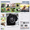 Cockapoo Puppies Traditional Wall Calendar 2026