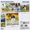 English Springer Spaniel Traditional Wall Calendar 2026