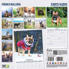 French Bulldog Traditional Wall Calendar 2026
