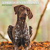 German Pointer Traditional Wall Calendar 2026