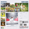 Jack Russell Traditional Wall Calendar 2026