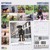Rottweiler Traditional Wall Calendar 2026