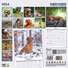 Vizsla Traditional Wall Calendar 2026