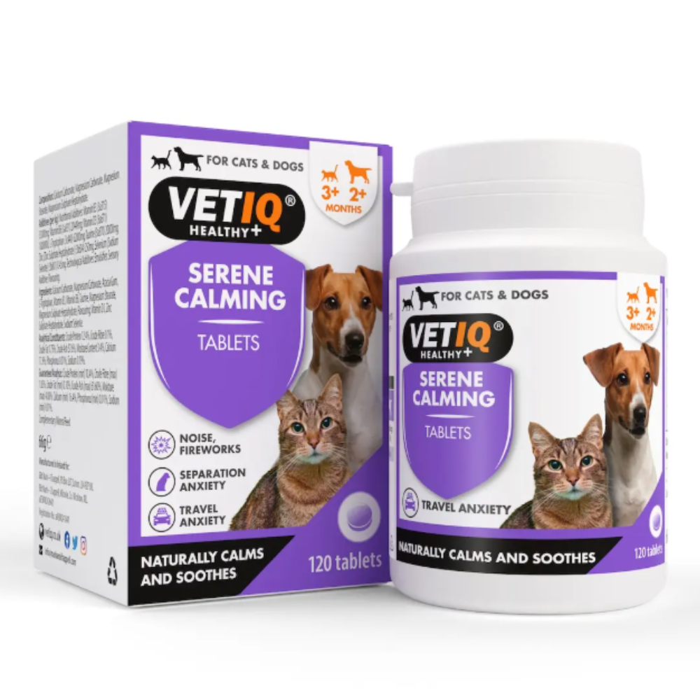 Calming Prescription Anxiety Meds For Dogs Medication To Calm Dog