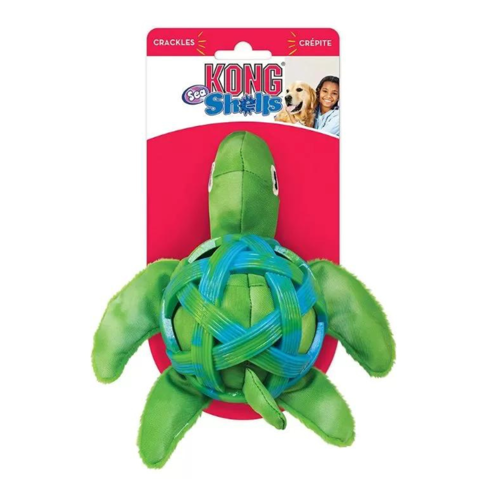 Kong turtle shop