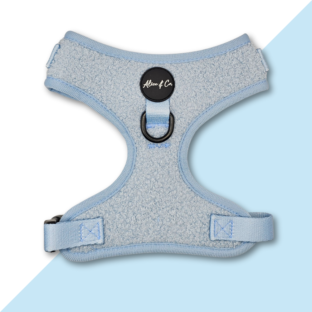 Alice Co Harness Teddy Blue Petstop1