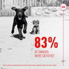 Royal Canin Digestion Supplement - Puppy