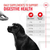 Royal Canin Digestion Supplement - Puppy