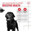 Royal Canin Digestion Supplement - Adult