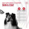 Royal Canin Skin & Coat Supplement