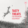 Royal Canin Training Treats