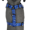 Alice & Co - Harness - Star Gaze