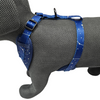 Alice & Co - Harness - Star Gaze
