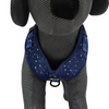 Alice & Co - Harness - Star Gaze
