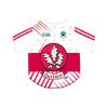 GAA Official Pet Jersey - Derry