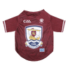 GAA Official Pet Jersey - Galway