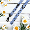 Alice & Co - Lead - Busy Bee