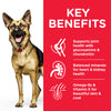 Hill's Science Plan - Mature Adult Large Breed - Chicken