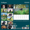 Cockapoo Deluxe Calendar 2026