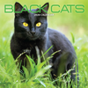 Black Cats Calendar 2026