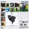 Black Cats Calendar 2026