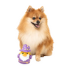 Fuzzyard Plush Dog Toy - Sirius Quack